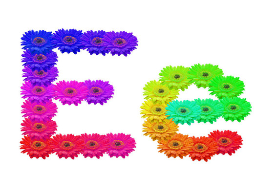 EE