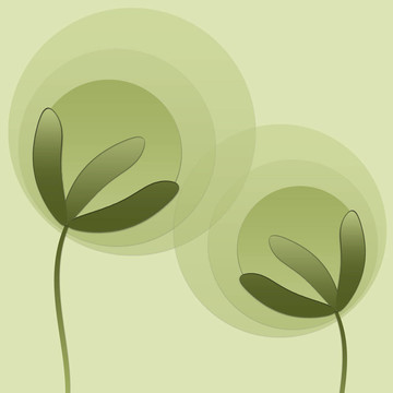 摘要植物