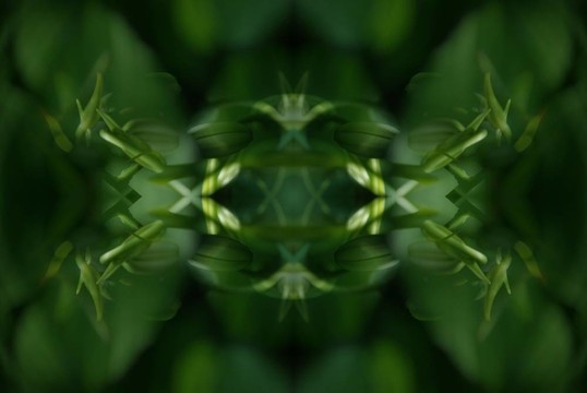 計(jì)算機(jī)生成的抽象背景