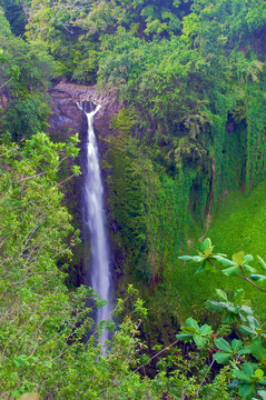 美麗的Waimoku Falls；毛伊島