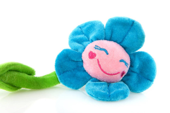 藍(lán)色的花