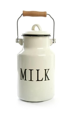 牛奶壺白壺傳統(tǒng)農(nóng)民風格