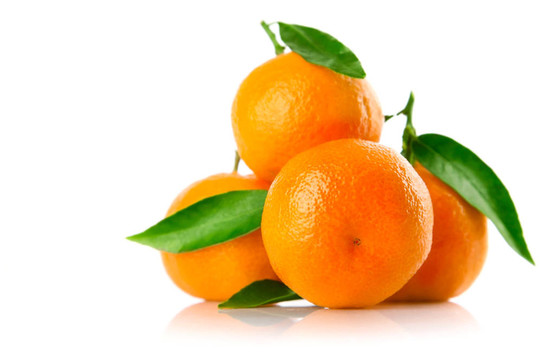 新鮮水果和綠色葉片中分離到Tangerine夜店