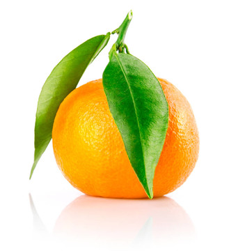 新鮮水果和綠色葉片中分離到Tangerine夜店