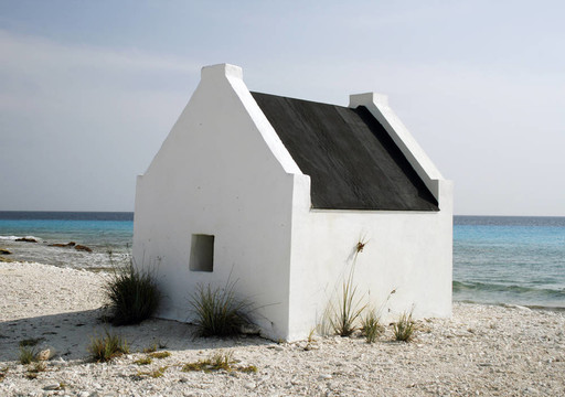 小White Slave House