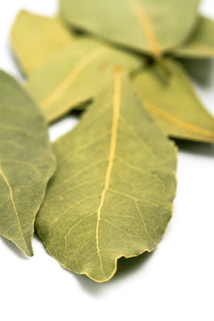 月桂樹(shù)葉