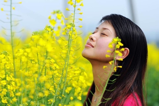 油菜花漂亮女孩