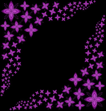 一些花