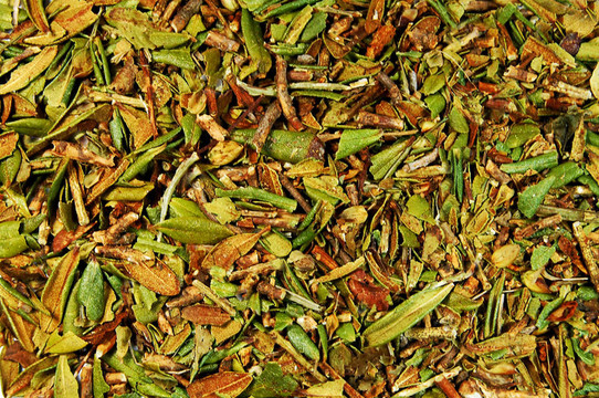 茶