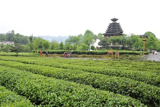茶園侗族鼓樓