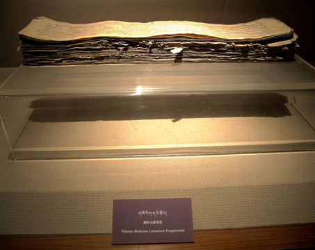 典籍 藏醫(yī)藏藥經(jīng)文