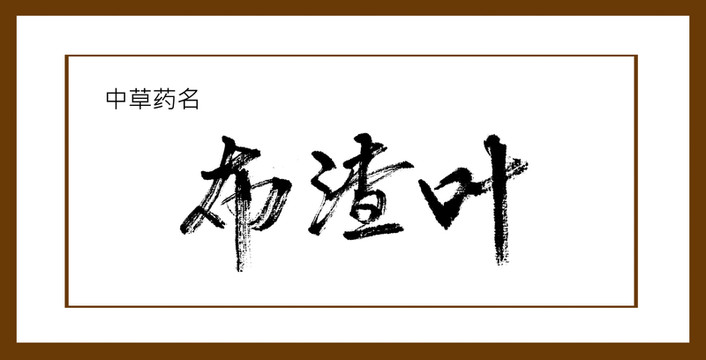布渣葉