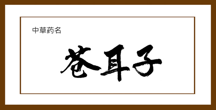 蒼耳子