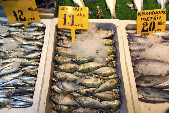 土耳其魚市