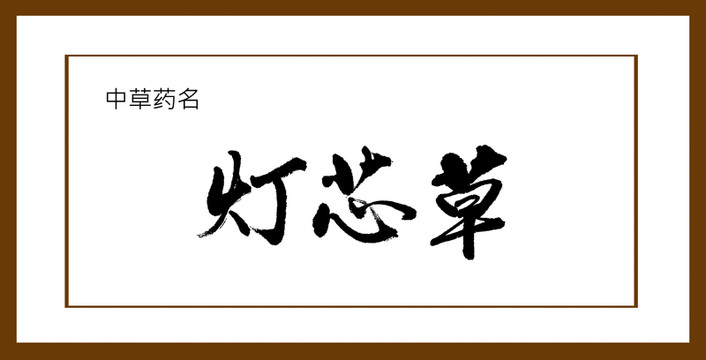 燈芯草