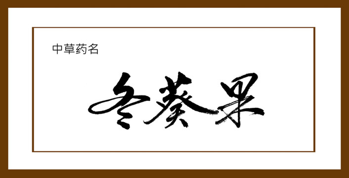 冬葵果