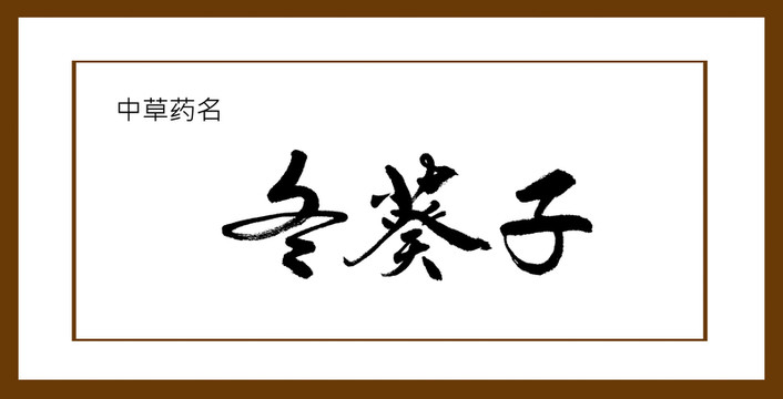 冬葵子