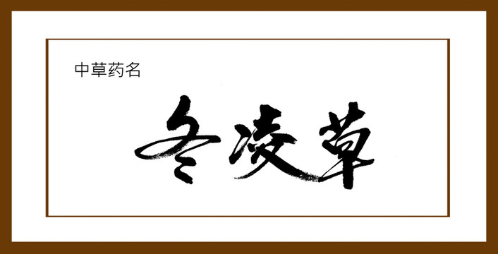 冬凌草