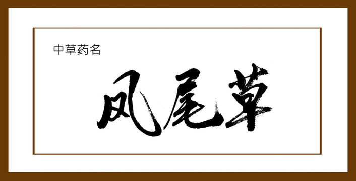 鳳尾草