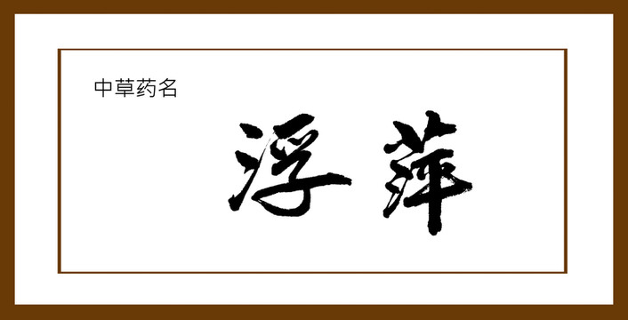 浮萍