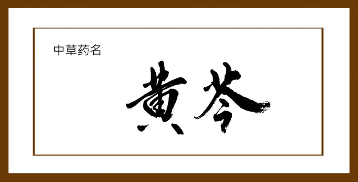 黃芩