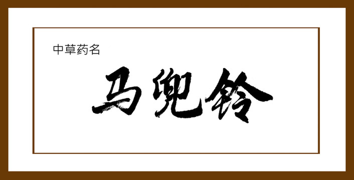 馬兜鈴