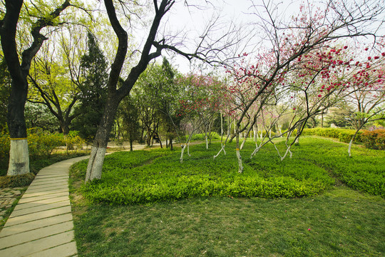 公園綠化美化