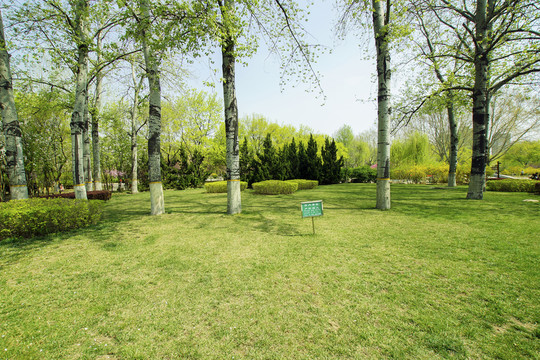 公園綠地