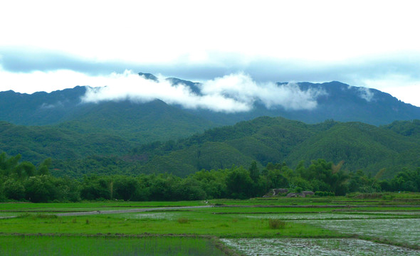 雨后 山區(qū)