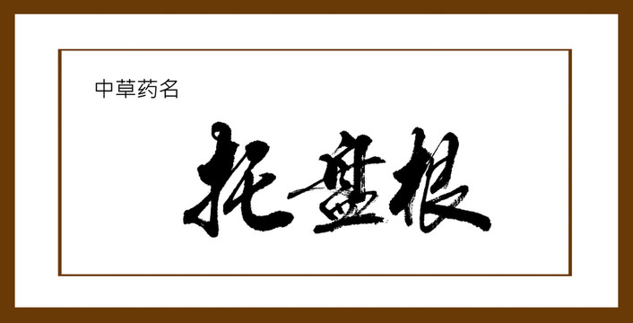 托盤根