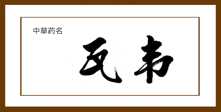 瓦韋