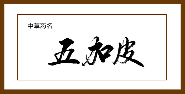 五加皮