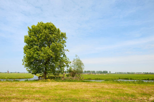 夏天的風(fēng)景