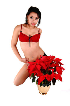 漂亮的女人與紅色的花。