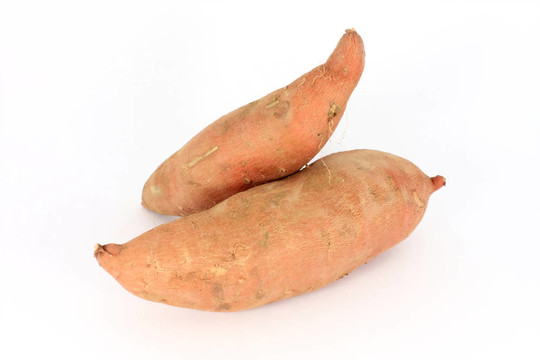 甘薯