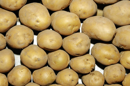 土豆