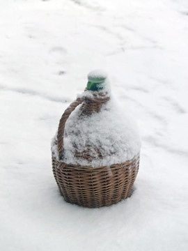 傳統(tǒng)的斑點(diǎn)狗潷水器在雪