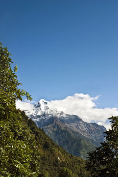 尼泊爾喜馬拉雅山雪山景觀