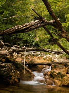 在山上流淌的小溪。山區(qū)河流