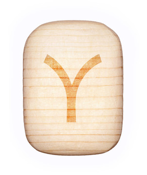 Y