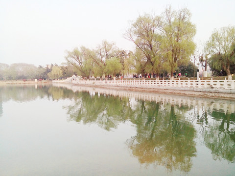 公園湖邊風(fēng)景
