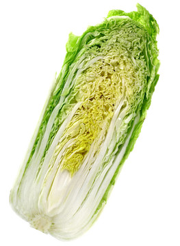 大白菜