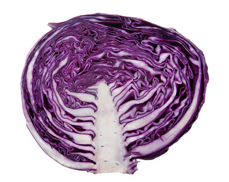 紫甘藍(lán)