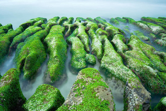 綠色的巖石海岸