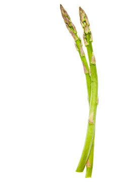 蘆筍分離