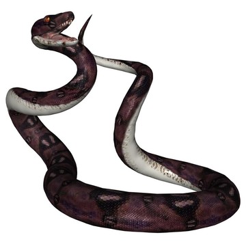 蛇