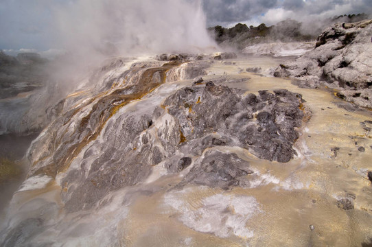 Pohutu Geyser在Newzealand