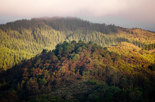 美麗的層層山在春天的黃昏