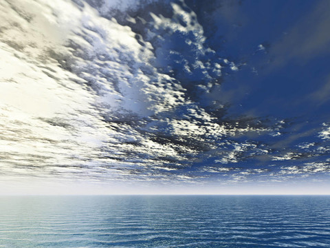 海