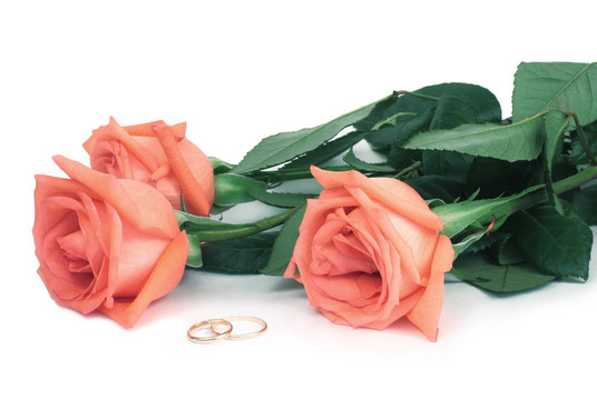 玫瑰和結(jié)婚戒指